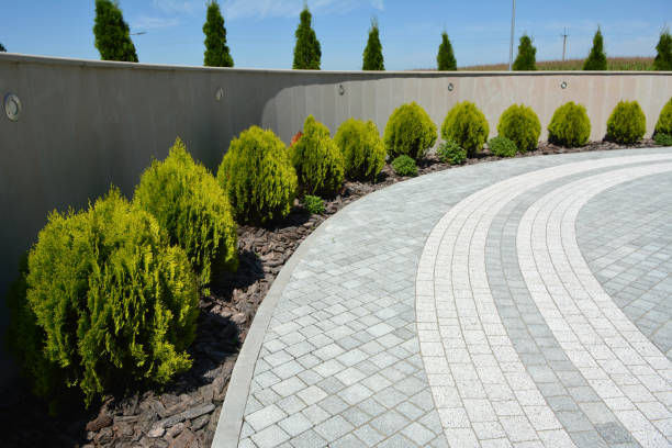 Best Residential Paver Driveway  in Ketchikan, AK